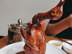 -大鸽饭(马王堆店)
