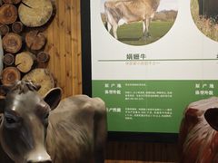 -君乐宝优致牧场