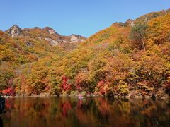 -关门山森林公园