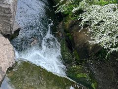 -中国茶叶博物馆(双峰馆区)