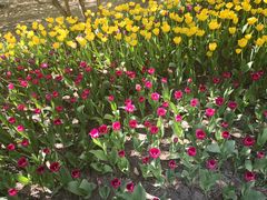 -长春公园(普阳街道)