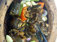 -天宝食坊·啫啫煲大排档(西华路店)