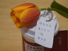 -炖物24章·顺时轻养茶(黄龙店)