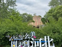-秦皇岛野生动物园