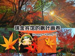 -上海瑞金洲际酒店