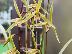 -兰陵国家农业公园