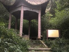 -紫金山山顶公园