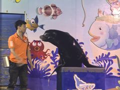 -太平洋海底世界