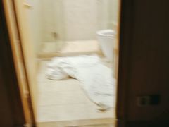 -维也纳国际酒店·上海虹桥火车站国家会展中心店