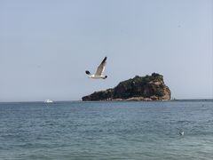 -棒棰岛宾馆景区