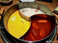 -青瓷火锅料理(西单大悦城店)