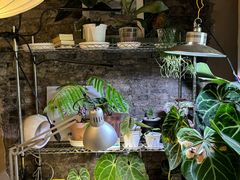 -About Bistro關於·泰式家庭料理