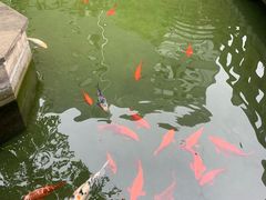 -麒麟小院·老九江菜(安平路店)