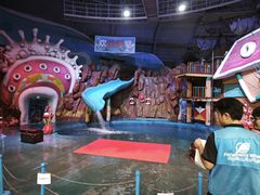 -烟台海昌鲸鲨海洋公园