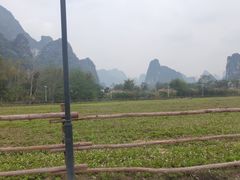 -明仕田园