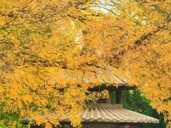 -玲珑塔公园