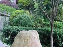 -十八棵（老龙井）御茶园(老龙井店)