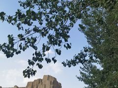 -森林公园(尖草坪区)