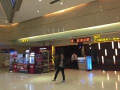 -万达影城(江桥万达广场IMAX店)