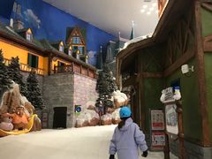 -长沙湘江冰雪世界