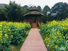-广州市石门国家森林公园