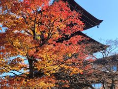 -医王山·飞騨国分寺