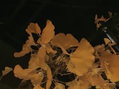 -京味斋·烤鸭·北京菜(安贞店)