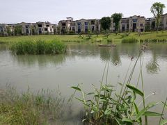 -两河城市森林公园