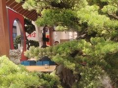-和府捞面(北美新天地店)