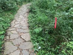 -青龙山国家森林公园