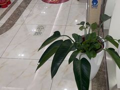 -圣贝口腔(海淀店)