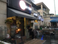 -吉丁鸟咖·异宠·寄养