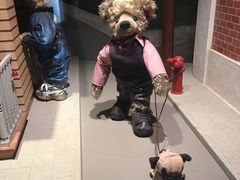 -济州岛泰迪熊博物馆