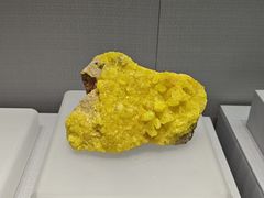 -湖南省地质博物馆