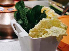 -润园四季椰子鸡火锅(海上世界店)