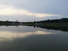 -羊山湖公园