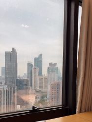 -丽尔美睫