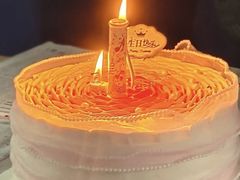 -维尔纳斯·生日蛋糕·动物奶油冰淇淋蛋糕(六里桥店)