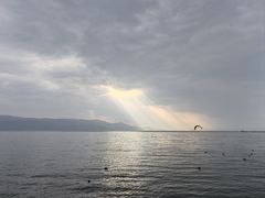 -洱海月湿地公园
