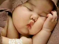 -素德轩素食餐厅(东港店)