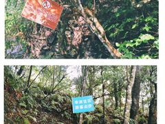 -梁野山景区