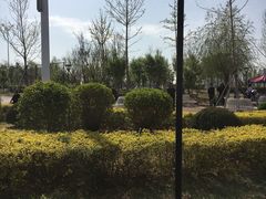 -丁香湖公园