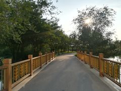 -燕郊植物园