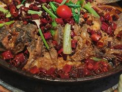 -老板恋上鱼(恒隆广场店)