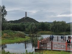 -北坞公园