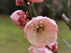 -蜀冈西峰生态公园