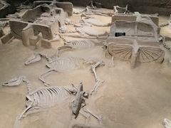 -洛阳周王城天子驾六博物馆