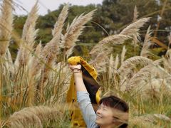 -长广溪湿地公园