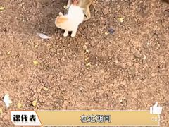 -昆明动物园