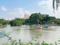 -红梅公园